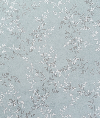 ���� ������ Absolute AR10949-05