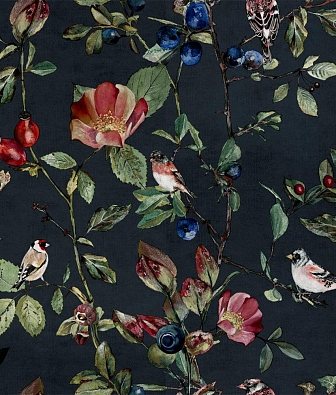 ���� Coordonne Naturae 9500033N