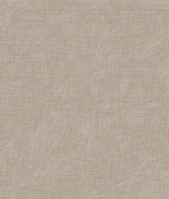 ���� Brewster Evolution 5 BWE05611