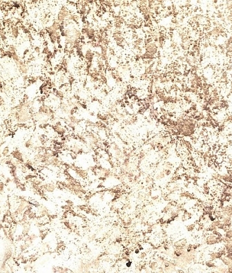 ���� Arlin Terria 30