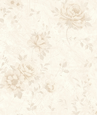 ���� Brewster Evolution 7 BWE070901