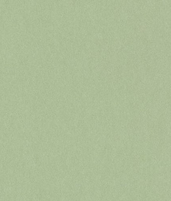 ���� Loymina Satori 2 A5 005