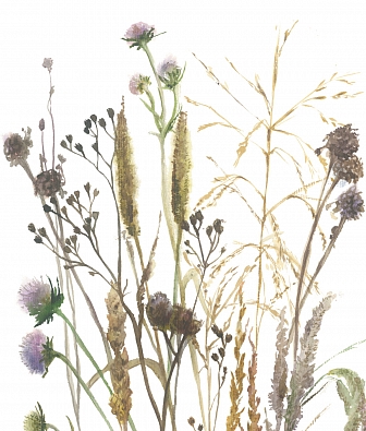 ���� Marburg Boho 35799