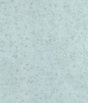 ���� Prestigious Textiles Pure 1928-769