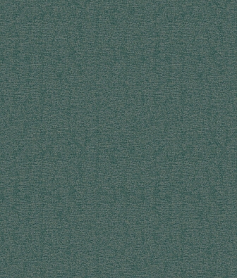 ���� Brewster Evolution 4 BWE04516