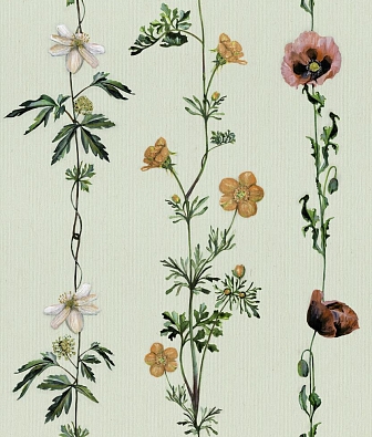 ���� Coordonne Naturae 9500062N