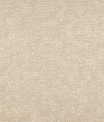 ���� ProSpero Tailor 73410252