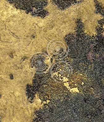 ���� Arlin Lava GB8