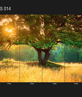 ���� Loymina Illusion DS 014