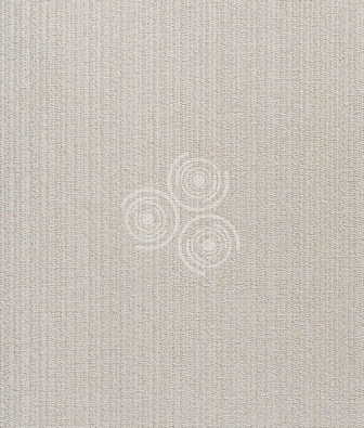 ���� ProSpero Olimpia OL1707