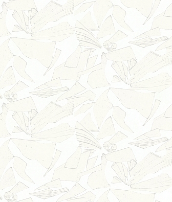 ���� Mayflower  Transition 30010