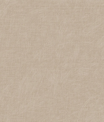 ���� Brewster Evolution 3 BWE03401