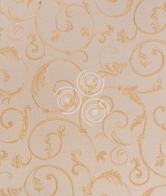 ���� ProSpero Olimpia OL1606