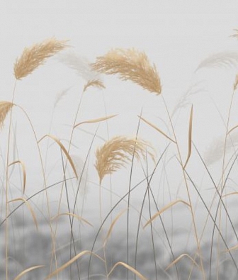 ������ Pinegin Grassy K203-COL4