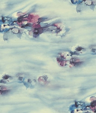 ���� Mayflower  Solaris FJ040100