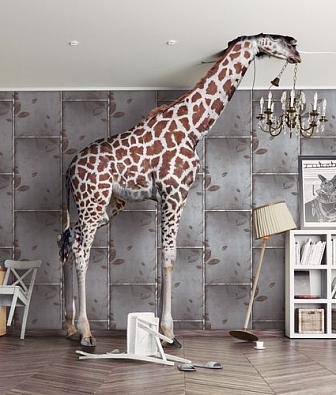 ���� Mayflower  Aerial fj080211