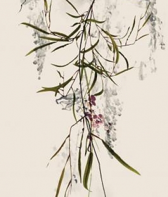 ���� Marburg Crush Motion 63490