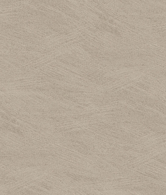 ���� Brewster Evolution 5 BWE05309