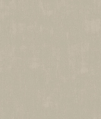 ���� Brewster Evolution 2 BWE02402