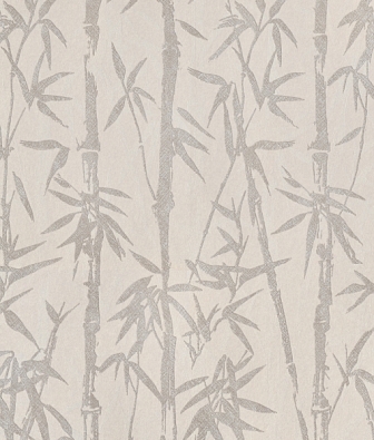 ���� Aura Zen 220321