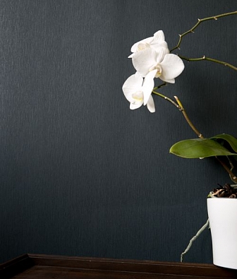 ���� Hohenberger Epic 63535