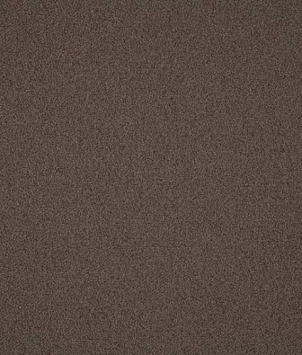 Scion Plains Ten 131839