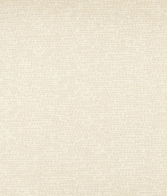 ���� ProSpero Tailor 73410150