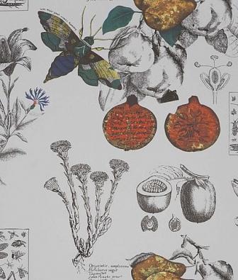 ���� Gaston y Daniela Origen GDW-4848-001