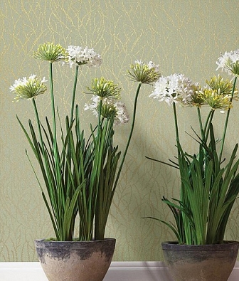 ���� Milassa Flos Flos5 005