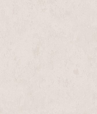 ���� Brewster Evolution 10 R25158Q