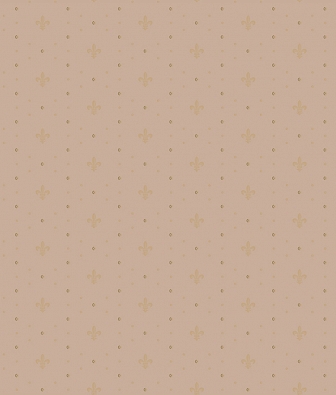 ���� Milassa Status Neo6 002/1