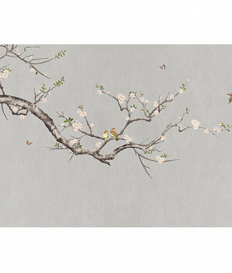 ���� Brewster New Creator 5 CBY132