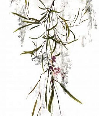 ���� Marburg Crush Motion 63489