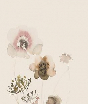 ���� Marburg Crush Motion 63495