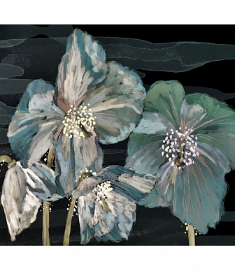 ���� Brewster New Creator 5 CBY093