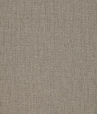 Anthology Mesh 132124