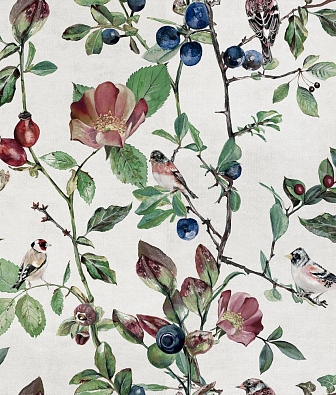 ���� Coordonne Naturae 9500030N