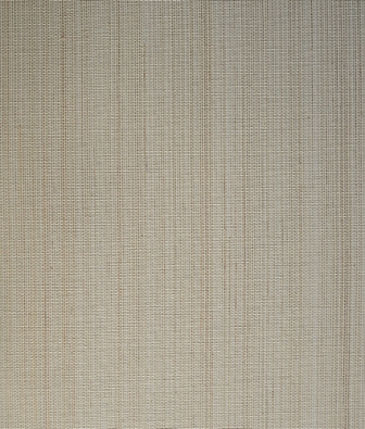 ���� Trendsetter Walter WA004