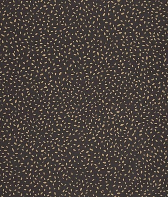 ���� Caselio Essentiel 103139021