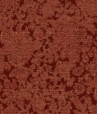 ���� Brewster Evolution 1 BWE01206