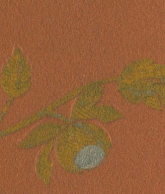 ���� Marburg Museo 46231