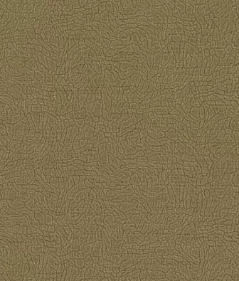  Alessandro Allori Breeze RDT2210-6