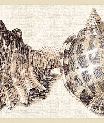 ���� Eijffinger Atlantic 343045