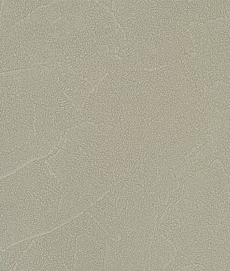 ���� Andrea Rossi Spectrum Plus 54351-13