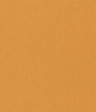 ���� Caselio Natte 101563030