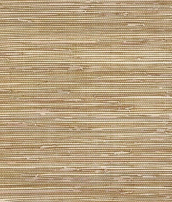  Aura Texture Style BG21536