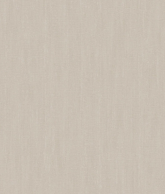 ���� Brewster Evolution 5 BWE05621