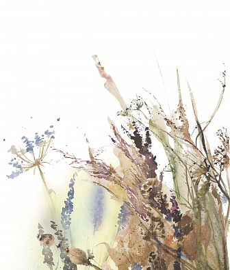 ���� Marburg Boho 35797