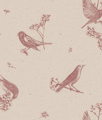 ���� Coordonne Naturae 9500071N