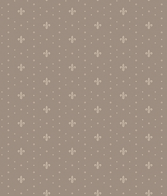 ���� Milassa Status Neo6 002/3